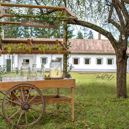 Apartament Green Paradise Vendeg Es Rendezvenyhaz Szentpeterfa Zewnętrze zdjęcie
